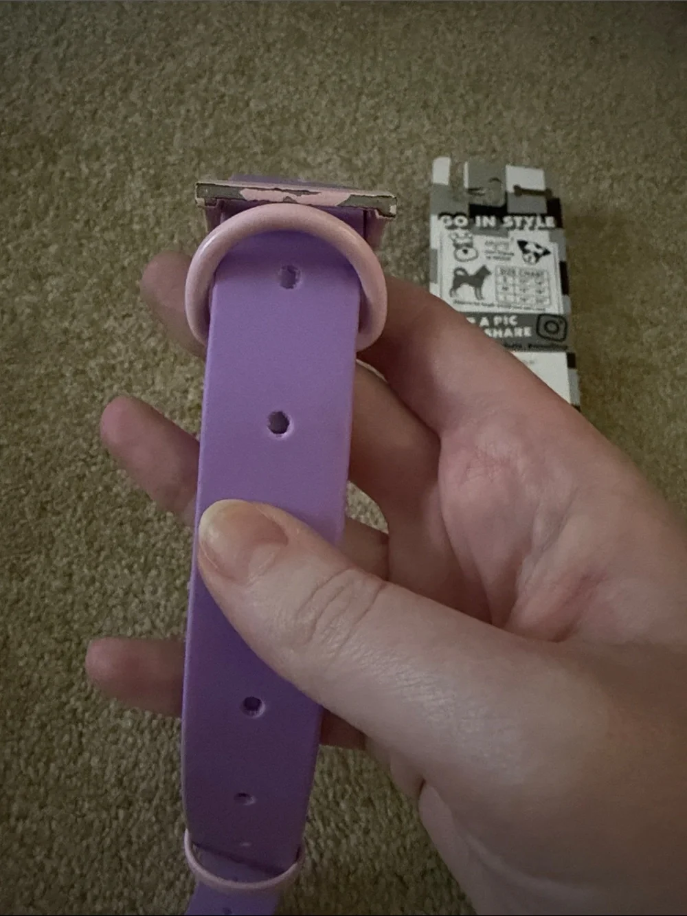 Dog Collars size large - Pastel Purple and Pastel Blue